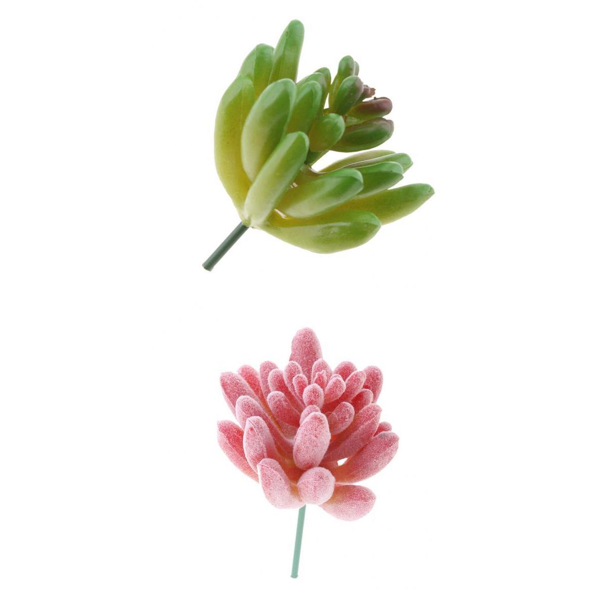 2.36'' Artificial Succulent Plant Echeveria #4 #5