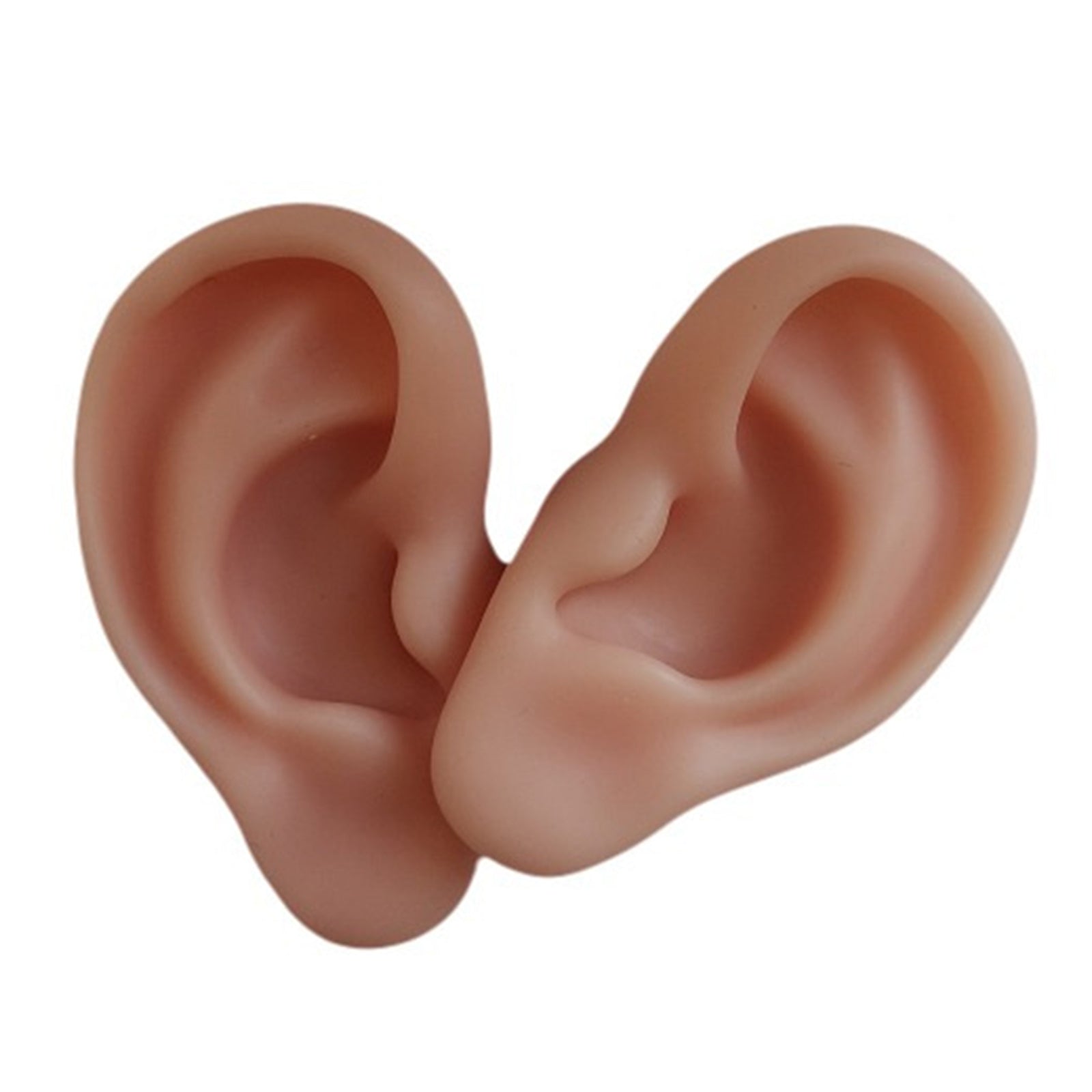 Ear Model Silicone Right and Left for Practicing Suturing Tool Learning