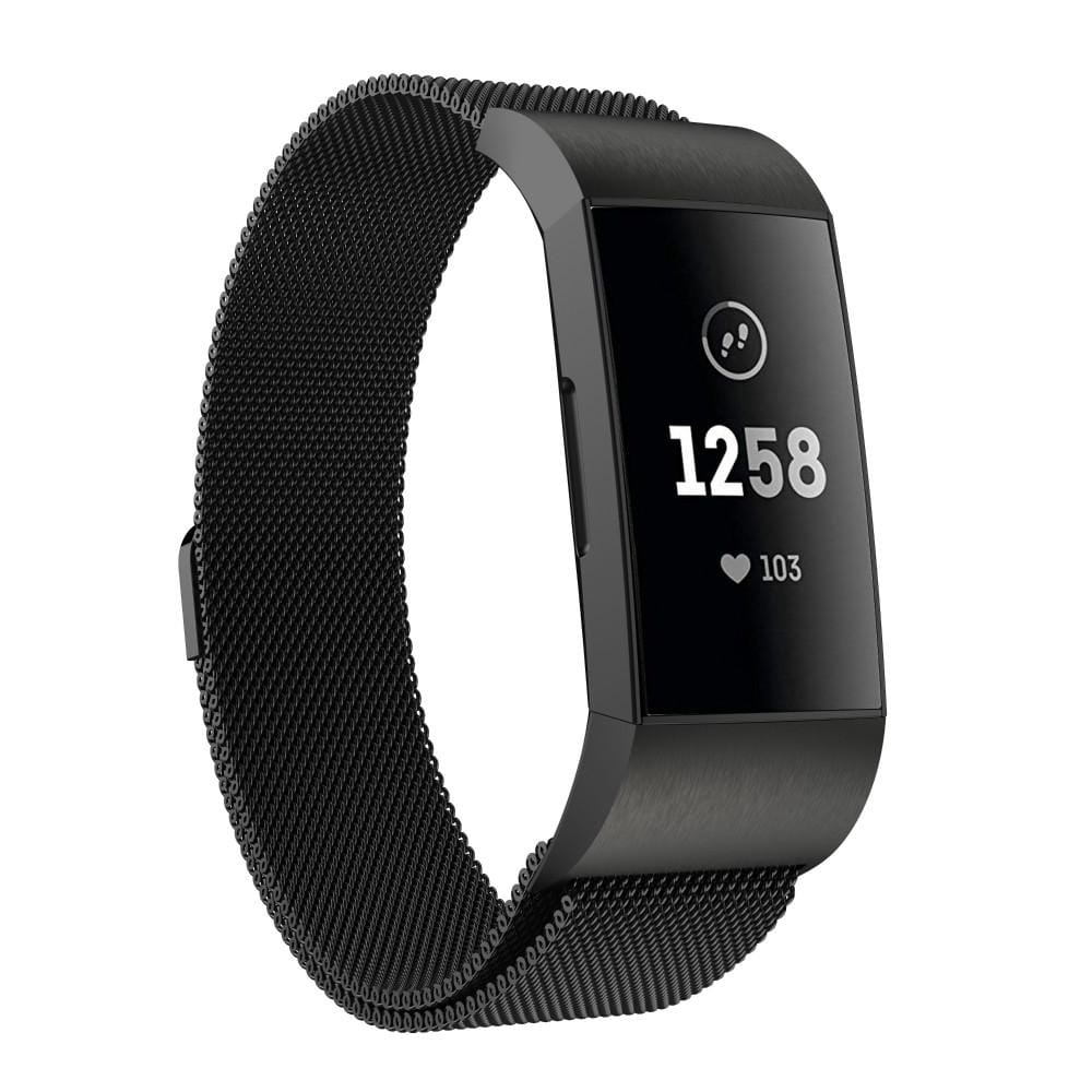 For Fitbit Charger 3 Metal Magnetic Metal Watch Strap (Silver)