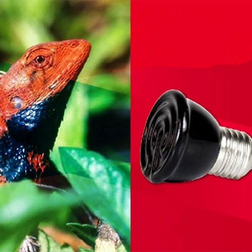 80W Ceramic Heat EMITTER BROODER Infrared LAMP Bulb Reptile PET COOP Grow