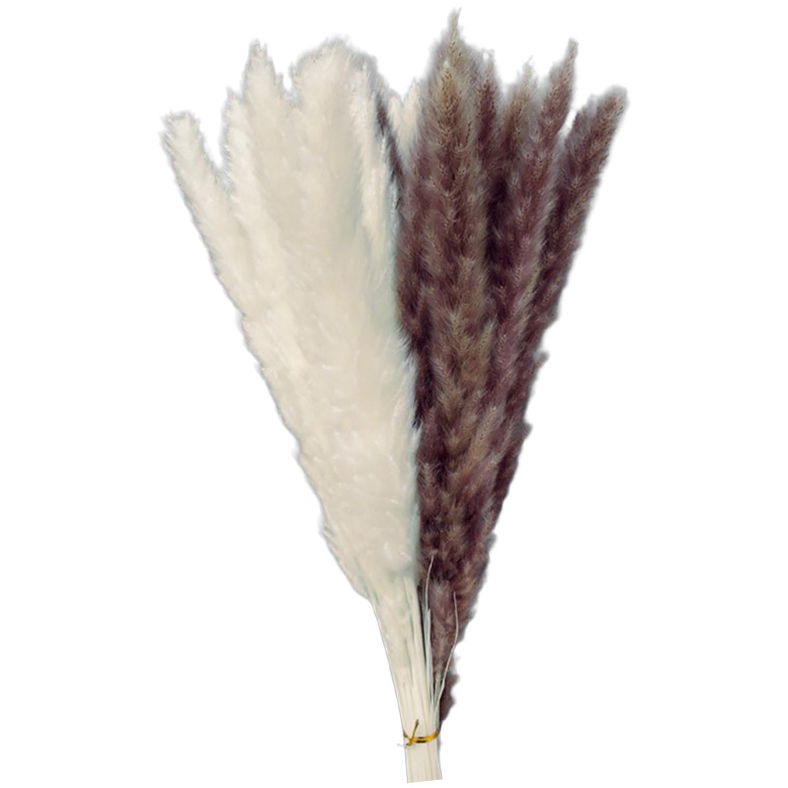 15Pcs 45cm Dried Pampas Grass Flower Arrangement Reed Plumes Flower 2 Colors