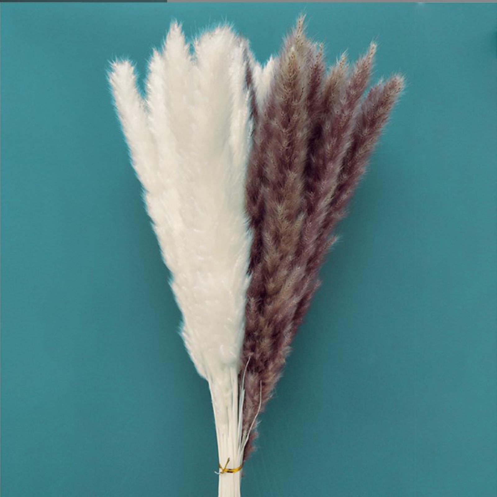 15Pcs 45cm Dried Pampas Grass Flower Arrangement Reed Plumes Flower 2 Colors