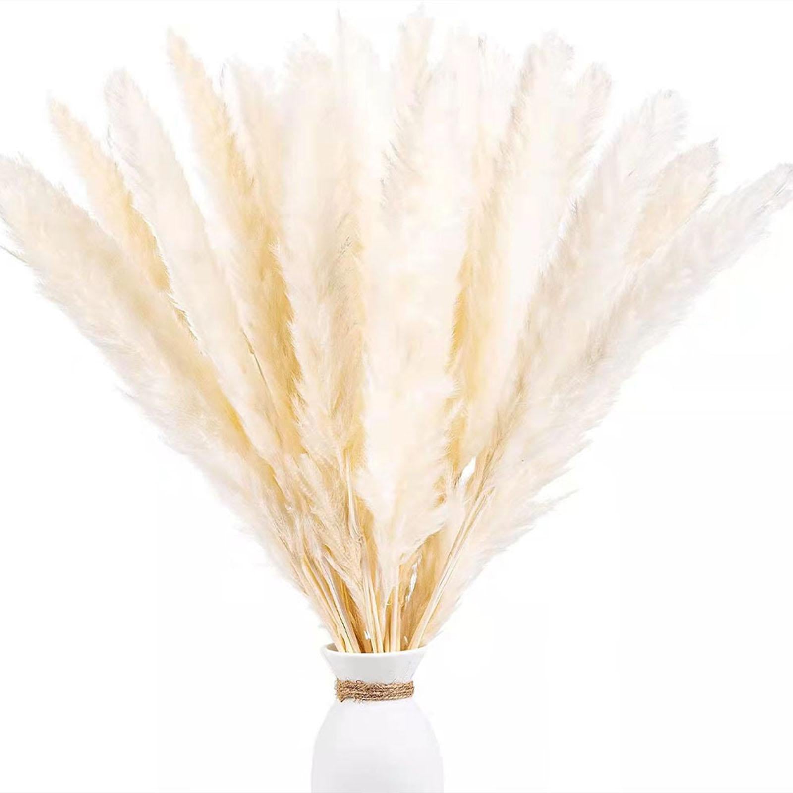 15Pcs Dried Pampas Grass Branches 50cm for Boho Home Decor Wedding Party