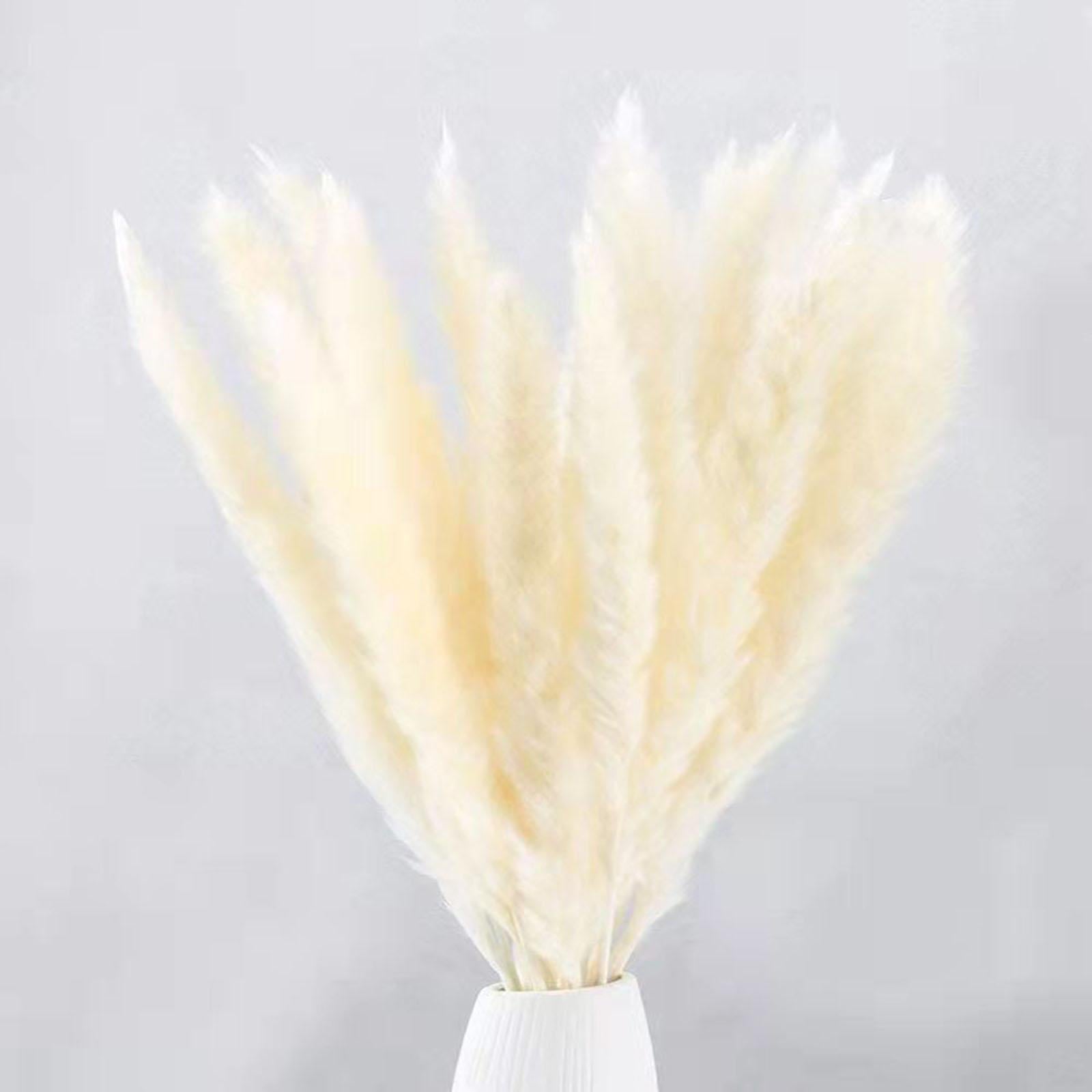 15Pcs Dried Pampas Grass Branches 50cm for Boho Home Decor Wedding Party