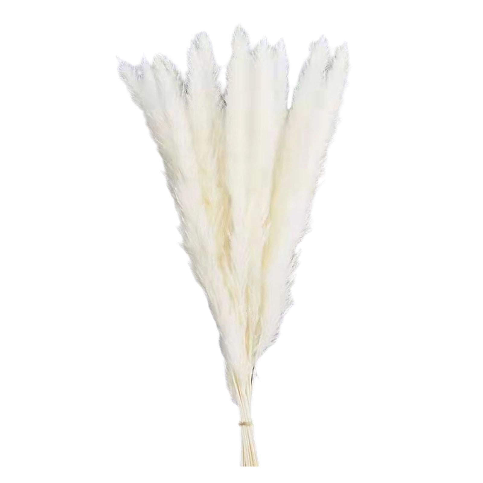 15Pcs Dried Pampas Grass Branches 50cm for Boho Home Decor Wedding Party