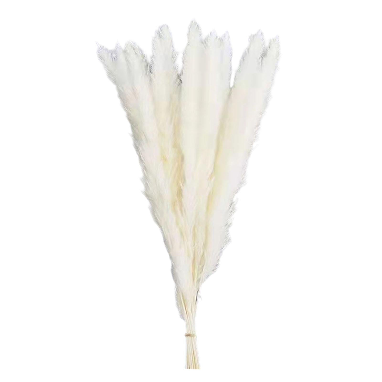 15Pcs Dried Pampas Grass Branches 50cm for Boho Home Decor Wedding Party