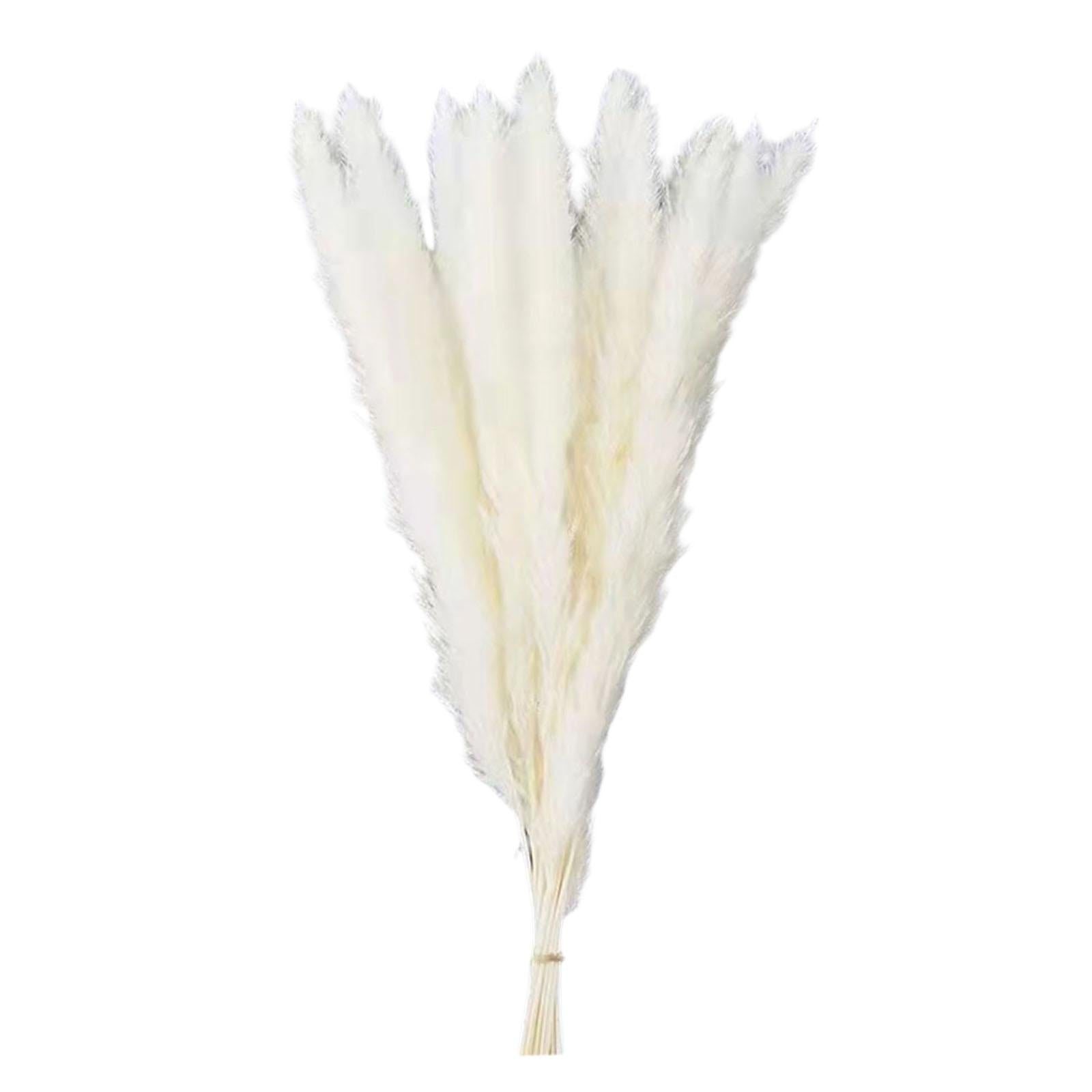 15Pcs Dried Pampas Grass Branches 50cm for Boho Home Decor Wedding Party