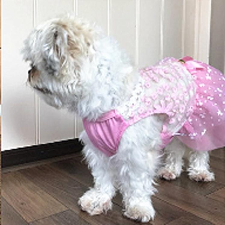 AB060 Lovely Cat Dress Lace Wedding Skirts Dresses for Pets Party Costume, Size:M (Pink)