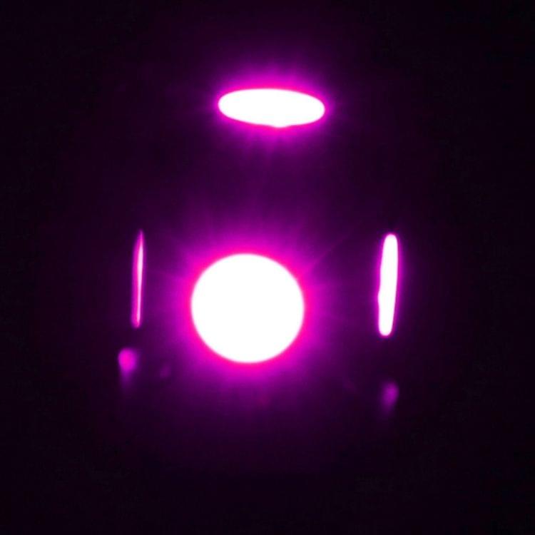 T10 Pink 5 LED 5050 SMD Car Signal Light Bulb (Pair)