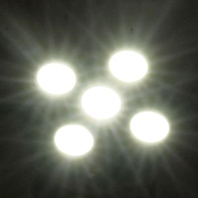 T10 White 5 LED 3528 SMD Car Signal Light Bulb (Pair)