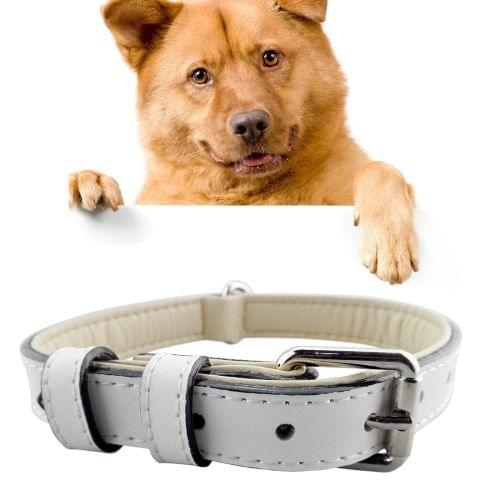 Leather Pet Dog Collar Pet Products Big Dog Collar, Size: L, 2.5 * 51cm(White)