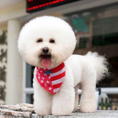 Cute Triangle Pet Eating Neckerchief Bib, Size: M (Neck Circumference: 35 - 42cm), Random Pattern Delivery