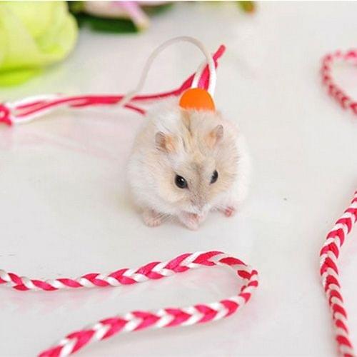 Pet Multicolor Hand Made Weaving Hamster Dual Purpose Traction Rope for Small Pets, Length: 1.4m, Random Color Delivery
