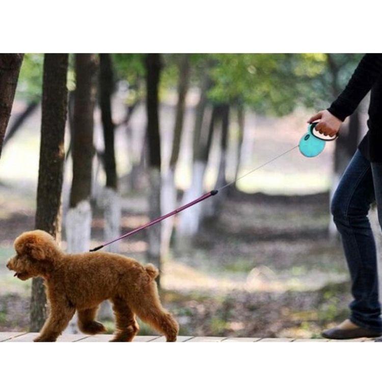 Pet Retractable Leash Automatic Extending Pet Walking Leads, Length: 3m(Green)