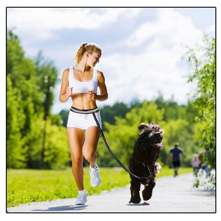 Retractable Pet 4 Pieces Set Dog Running Traction Waist Bag Dog Lead Non-Slip Pet Traction Rope, Rope length: 144cm, Waist: 78-100cm(Grey)