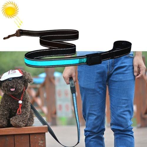 1.2m Medium and Large Dog Pet Solar + USB Charging LED Light Traction Rope(Blue)
