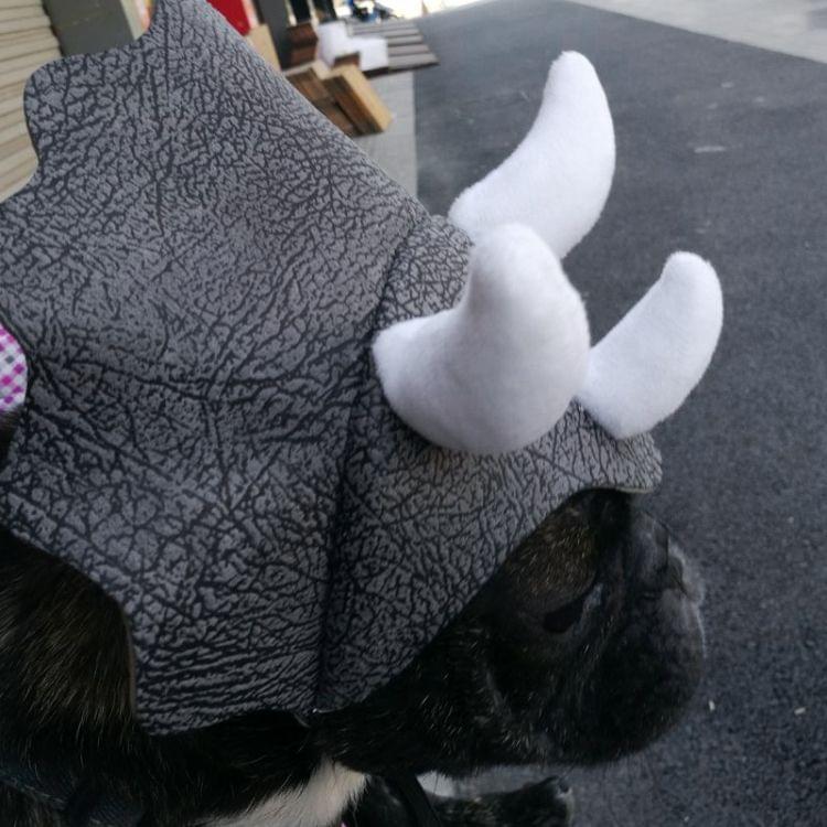 PET CAPTAIN XKL1801 Pet Triceratops Caps Outdoor Hat