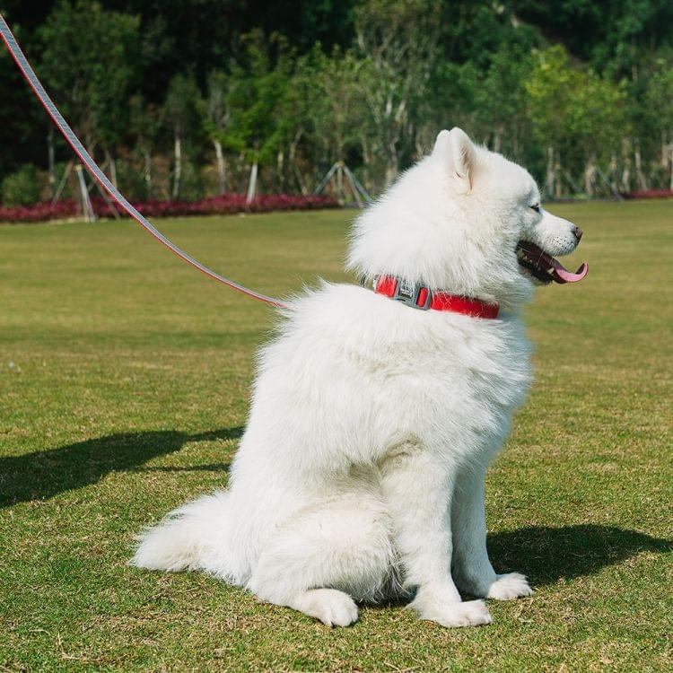 Tuffhound 1427 Adjustable Dog Harness Lead Leash Collar Belt,Size:S, 1.5x120cm(Red)