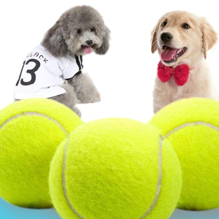 Rubber Pet Toy Ball Elastic Type Pet Tennis Ball, Diameter: 6cm