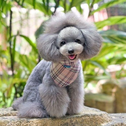 Cute Triangle Pet Eating Neckerchief Bib, Size: L (Neck Circumference: 43 - 55cm), Random Pattern Delivery
