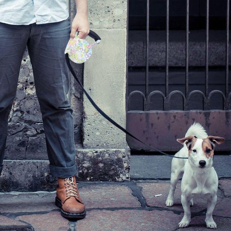 5m Narcissus Pattern Flexible Retractable Dog / Cat Leash for Daily Walking