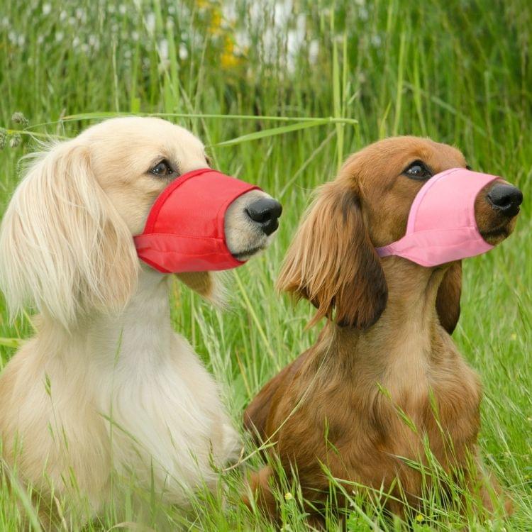 Pet Supplier Dog Muzzle Breathable Nylon Comfortable Soft Mesh Adjustable Pet Mouth Mask Prevent Bite, Size:20cm(Red)