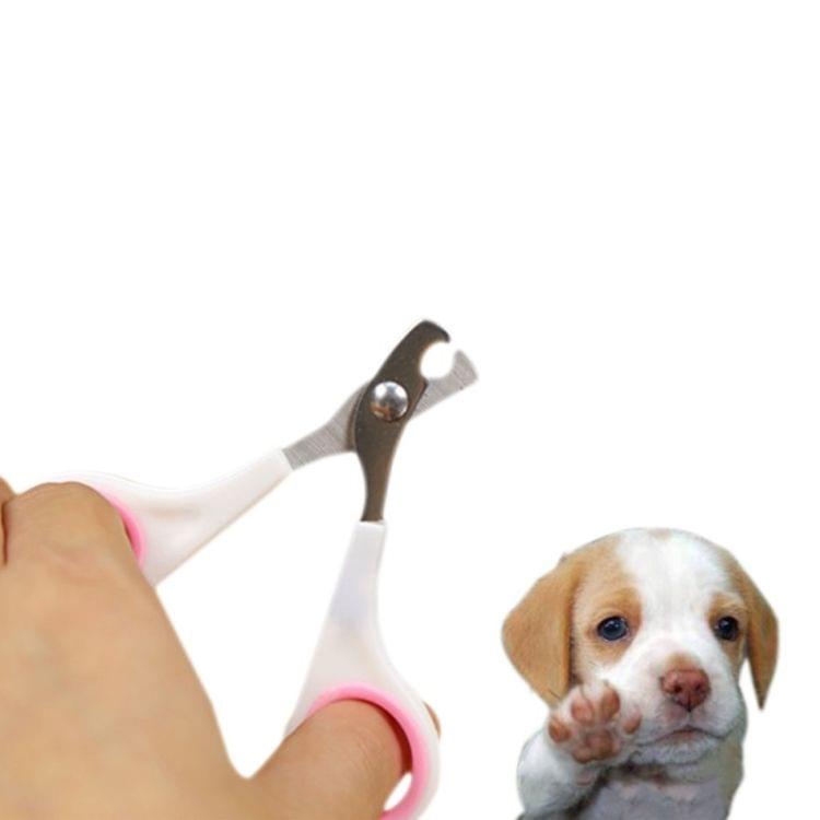 Pet Animal Dog Cats Bird Toe Claw Stainless Steel Grooming Nail Clippers Scissors Trimm(Random Color Delivery)