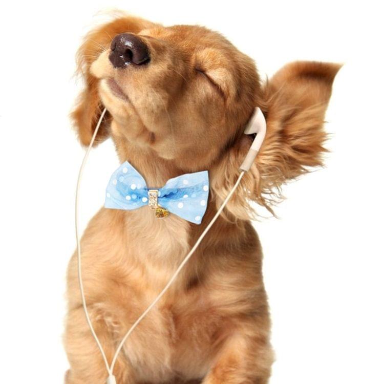 Pet Collar With Bowtie for Medium Small Dog Cat, Size: 1.3 * 35cm(Blue)
