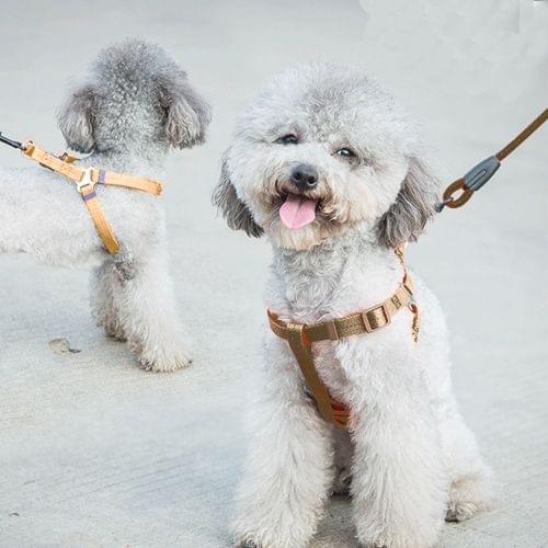 Pet Dog Collar + Harness + Leash Three Sets, S, Harness Chest Size: 34-50cm, Collar Neck Size: 24-35cm, Pet Weight: 8kg Below(Coffee)