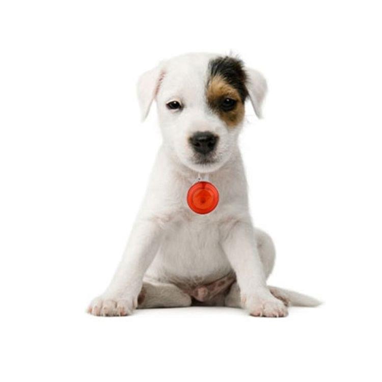 Round Shape Pet Safety Flash Pendant(Red)