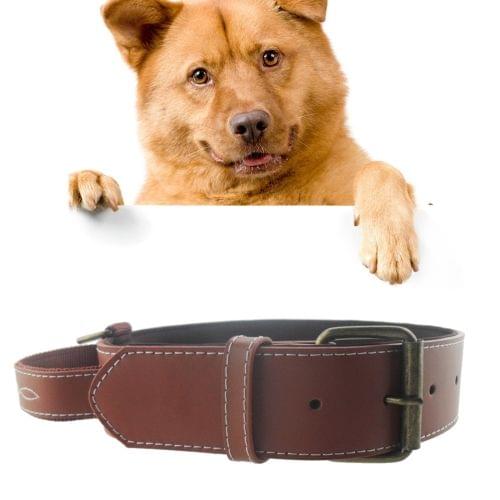Leather Pet Dog Collar Pet Products for Big Pet, Size: 4.5*68.5cm(Coffee)