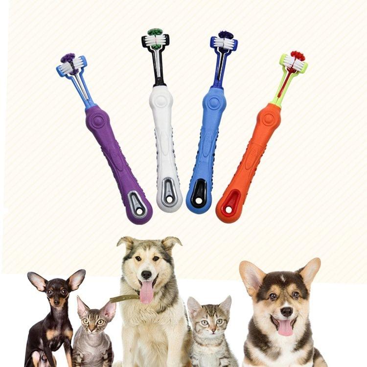 YINGTE Three-toothbrush for Pets (Green)