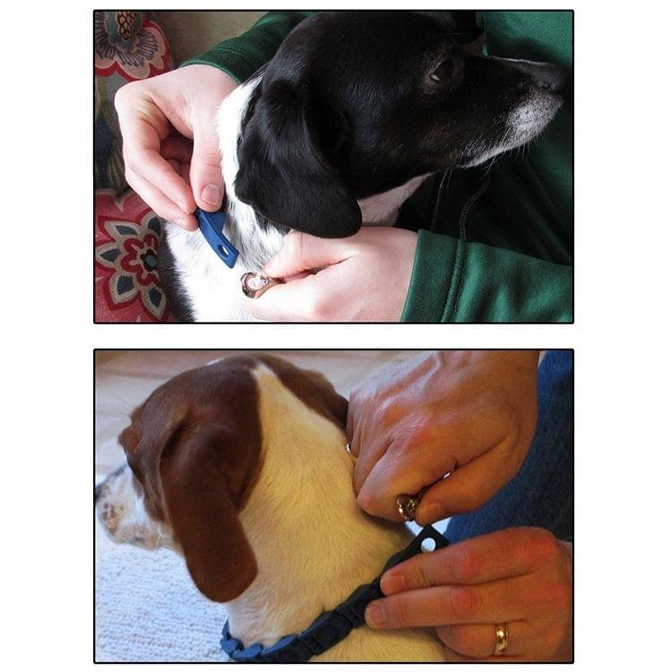 Adjustable Dog Collar Large Dogs Pet Train Belt With CD Disk Pets Collar, Collar Size:16.5*16*2.7cm