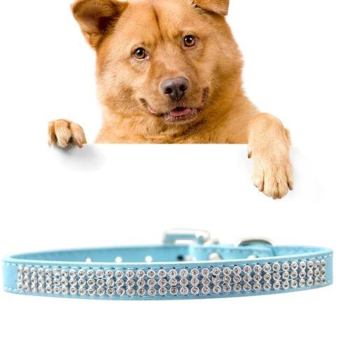 PU Diamond Studded Pet Collar Dog Collar Pet Products, Size: S, 1.5 * 37cm(Blue)
