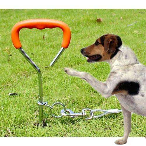 Dog Pile Fixation Spiral Nail with Handle For Medium Small Dog Long Training Outdoor, Size: 45cm*9mm