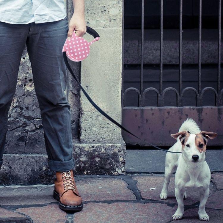 5m Pink Dot Pattern Flexible Retractable Dog / Cat Leash for Daily Walking