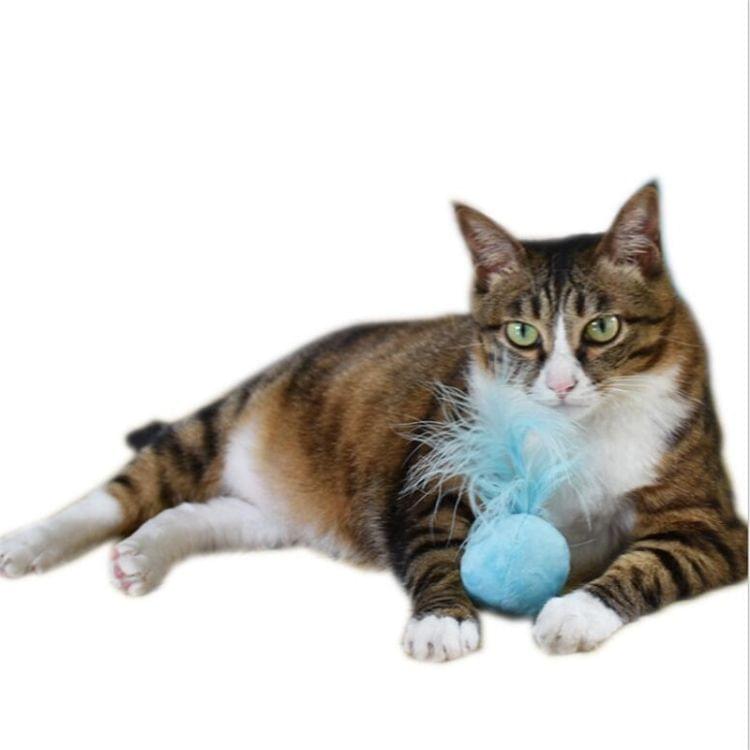 Ring Bell Feathers Tease Cats Toys Plush Pet Cat Toys(Pink)