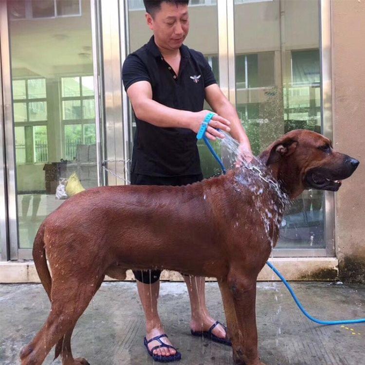 Pet Shower Water Sprayer Sprinkler Pet Bathing Tool, Length: 2.5m
