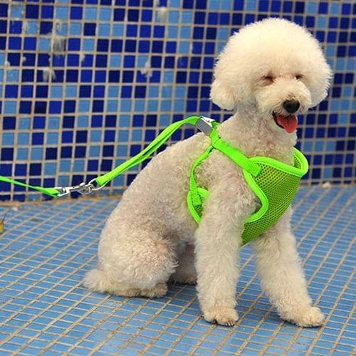 Pet Clothing Monochrome Mesh Harness Leash Dog Chest Suspenders with 120x1.5cm Traction Rope, Big Size, Bust: 36-68cm(Green)