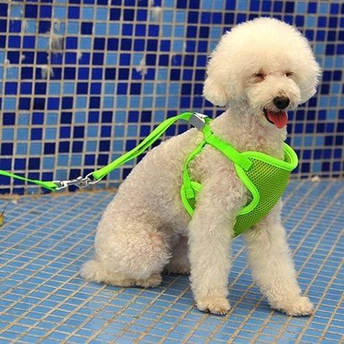 Pet Clothing Monochrome Mesh Harness Leash Dog Chest Suspenders with 120x1.5cm Traction Rope, Big Size, Bust: 36-68cm(Green)