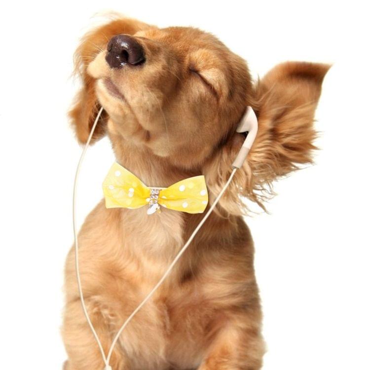 Pet Collar With Bowtie for Medium Small Dog Cat, Size: 1.0 * 28cm(Gold)
