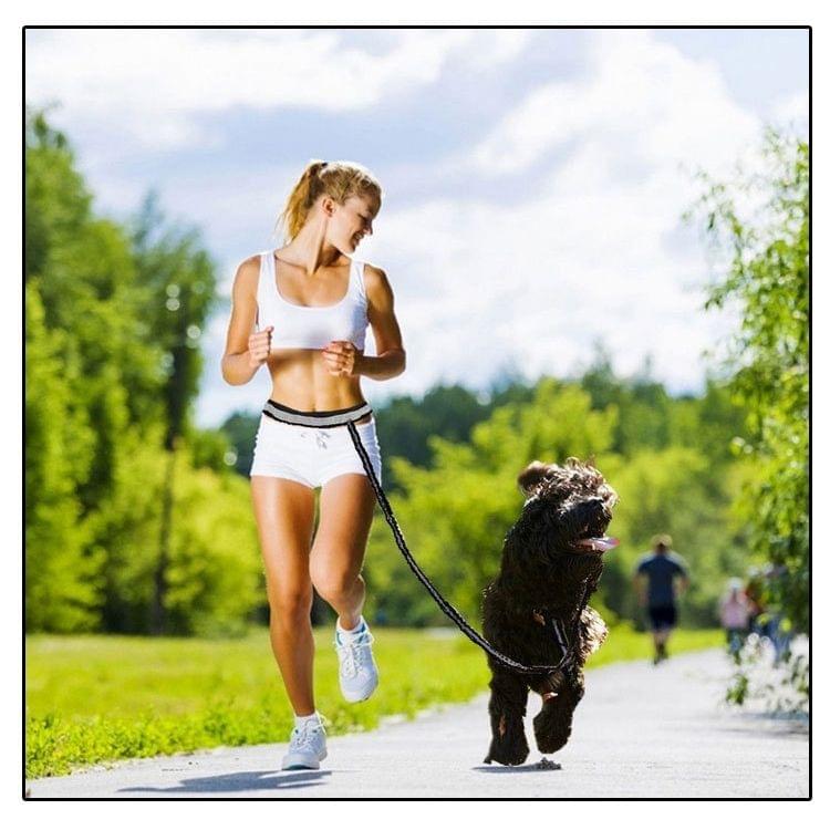 Retractable Pet 4 Pieces Set Dog Running Traction Waist Bag Dog Lead Non-Slip Pet Traction Rope, Rope length: 144cm, Waist: 78-100cm(Black)