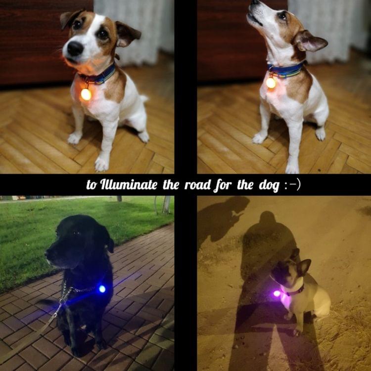 LED Flashlight Dog Cat Collar Glowing Pendant Luminous Bright Decoration Collars(Pink)