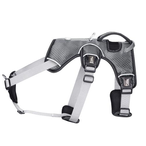Tuffhound 1617S Adjustable Dog Harness Lead Leash Collar Belt,Size:XL, (62-76)+(58-88)cm (Grey)