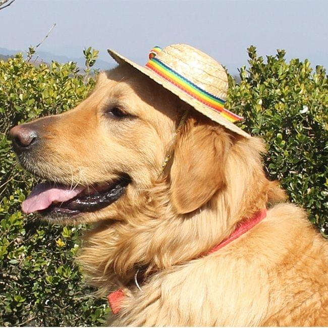 Outdoor Walking Pet Straw Hat, Size: L (Inner Diameter: 10cm) (Rainbow Stripes)