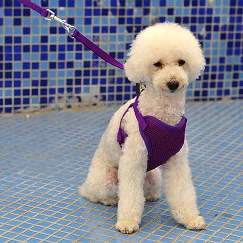 Pet Clothing Monochrome Mesh Harness Leash Dog Chest Suspenders with 120x1.5cm Traction Rope, Big Size, Bust: 36-68cm
