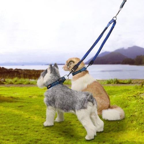 Pet Telescopic Buffer Double Traction Rope Nylon Reflective Braided Rope, Large, Length: 107cm, Random Color Delivery