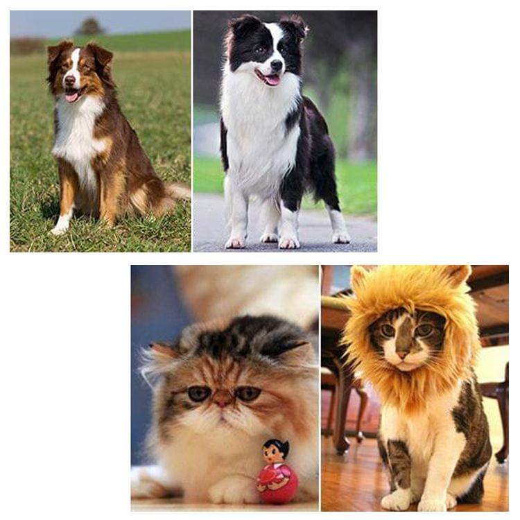 Pet Comb Dog Flea Cleaning Comb Stainless Steel Threaded Needle Comb Removal Beauty Products(Red)