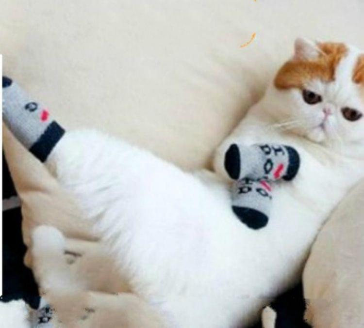 2 Pairs Cute Puppy Dogs Pet Knitted Anti-slip Socks(Big Mouth Duck)