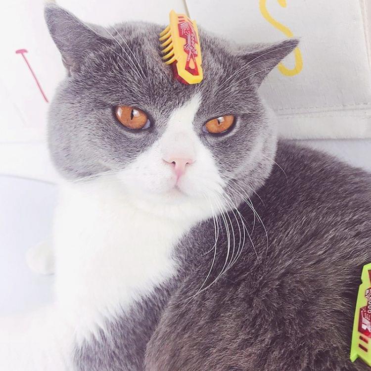 Electric Mouse Funny Cat Stick Cat Interactive Pet Toy Electronic Mouse(Yellow)